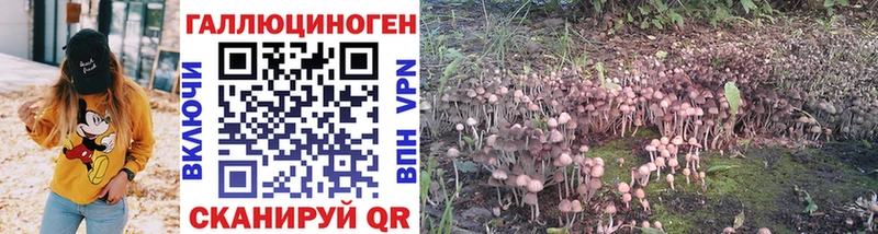 Псилоцибиновые грибы ЛСД  Лесной 