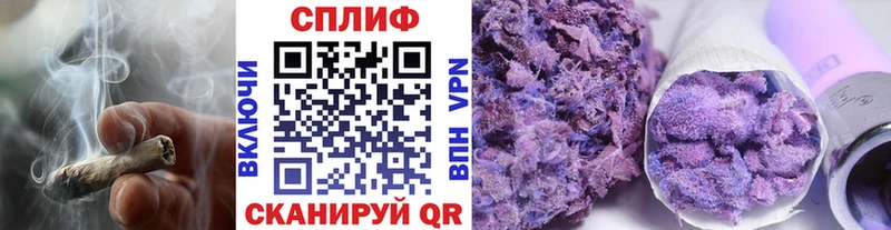 продажа наркотиков  Лесной  Бошки марихуана SATIVA & INDICA 
